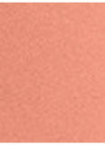 Lancôme L'Absolu Rouge Drama Matte Lasting Comfort Lipstick & Powdery Matte Finish