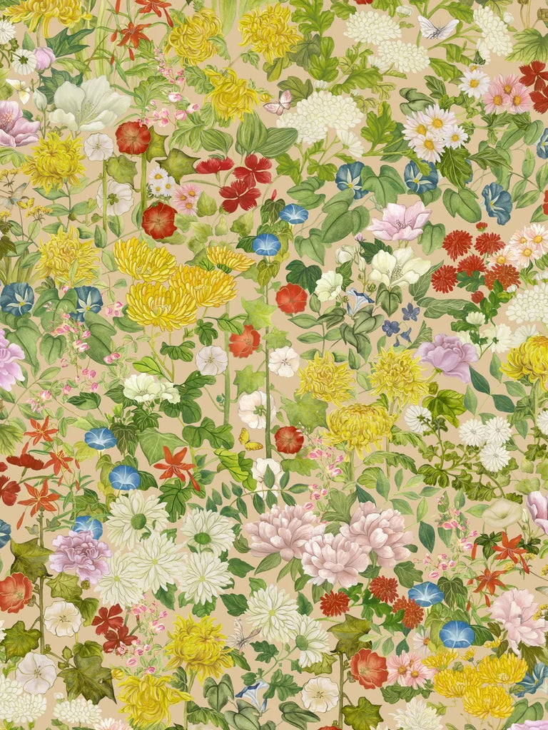 Cole & Son Flora Province Wallpaper