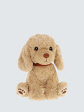 Keel Toys Keeleco Cavapoo Soft Toy 23Cm