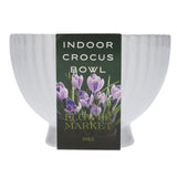 M&S Indoor Crocus Bowl