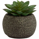 M&S Moss & Sweetpea Artificial Mini Succulent Pot, One Size, Green