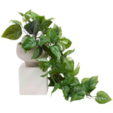 M&S Moss & Sweetpea Artificial Trailing Pothos in Cement Pot, Green