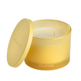 Habitat Scented Multi Wick Candle - Lemon & Mimosa