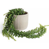 Habitat Artificial Trailing Plant in Ribbed Ceramic Pot