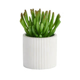 Sainsbury's Home Artificial Crassula Succulent in Cement Pot