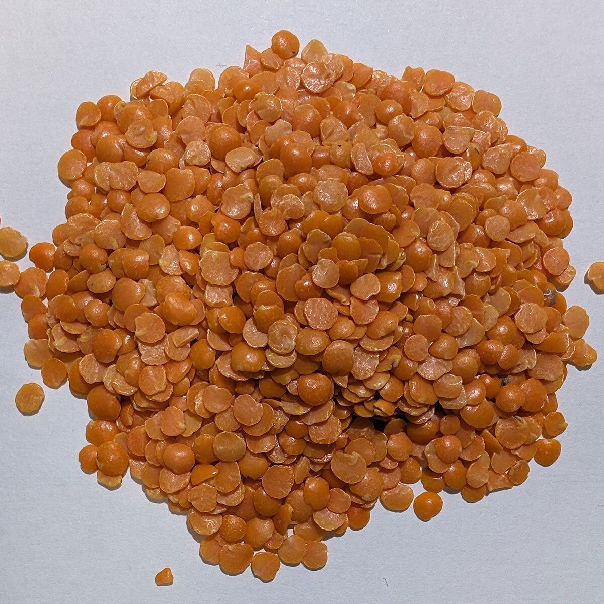 Natco Red Lentils, 5kg GOODS Costco UK