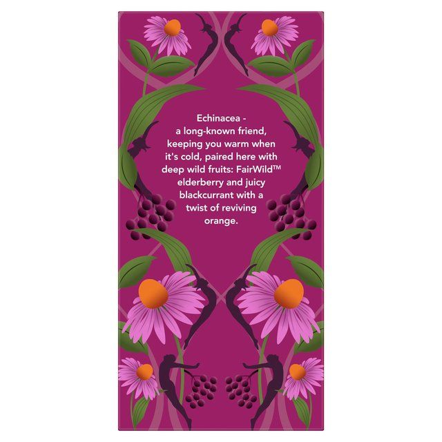 Pukka Tea Herbs Elderberry & Echinacea with Elderflower Tea Bags   20 per pack GOODS M&S   