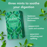 Pukka Organic Three Mint Tea 20 Home Compostable Herbal Tea Bags 32g   20 per pack - McGrocer