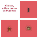 Raid Ant & Cockroach Killer   300ml GOODS M&S   