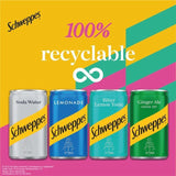 Schweppes Ginger Ale   12 x 150ml GOODS M&S   