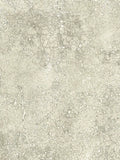 Osborne & Little Oratorio Wallpaper