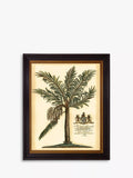 Brookpace Lascelles 'Fruitful Palm III'' Framed Print, 51 x 41cm, Green