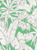 Scion Parlour Palm Wallpaper