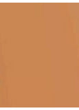 Sisley-Paris Phyto-Teint Ultra Eclat Foundation