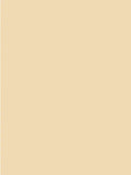 Sisley-Paris Les Phyto Ombres Eyeshadow