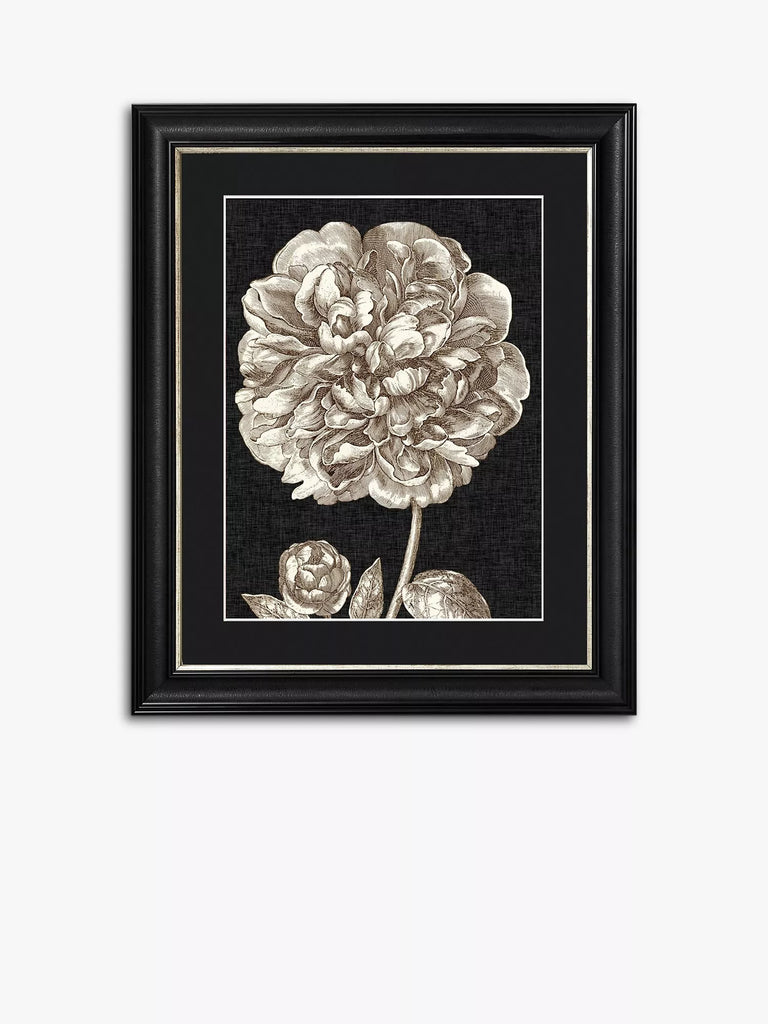 Dramatic Peony II Framed Print & Mount, 60 x 50cm, Black/White