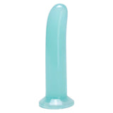 Ann Summers 5.5 Inch Jelly Dildo Aqua