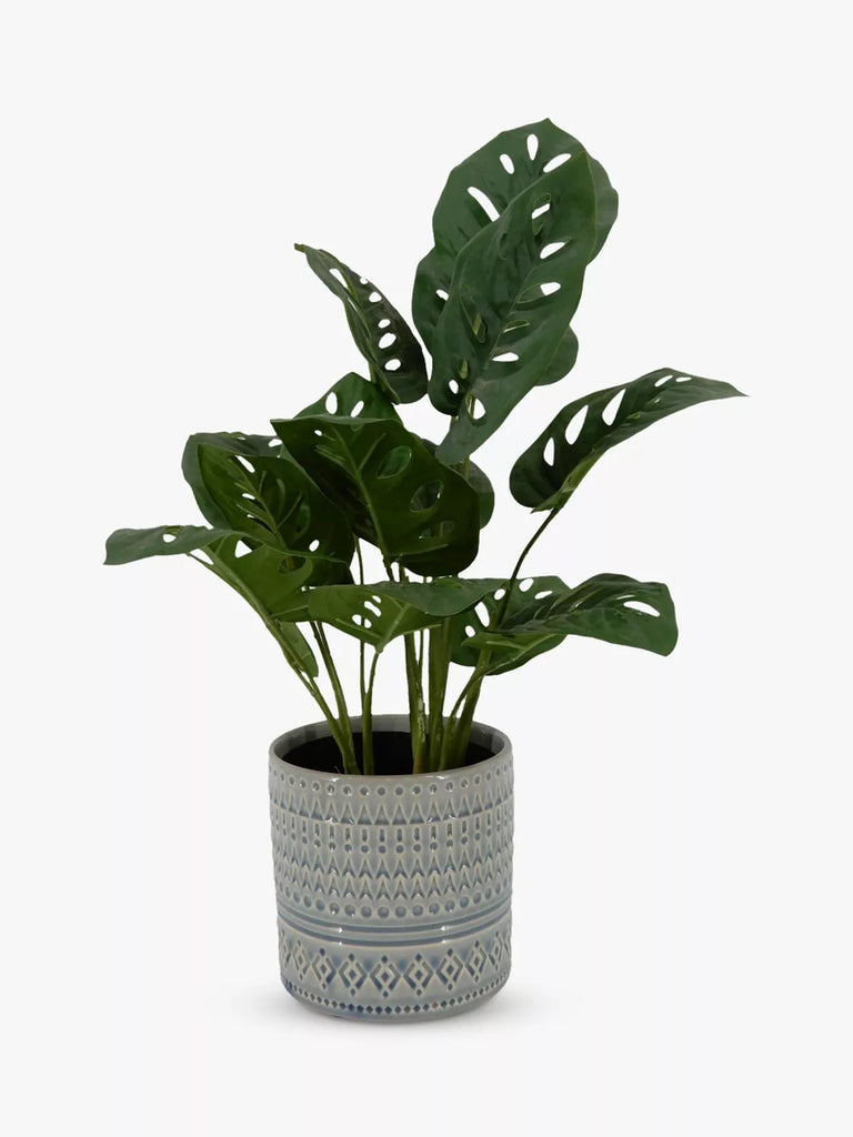 John Lewis Artificial Monstera in Ceramic Pot