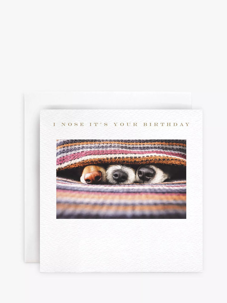 Susan O'Hanlon Dogs Noses Birthday Card