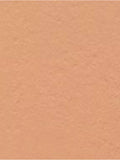 Lancôme Teint Idole Ultra Wear Stick Foundation - McGrocer