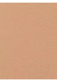 Lancôme Teint Idole Ultra Wear Stick Foundation - McGrocer