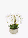 Floralsilk Artificial White Orchid in Clay Pot