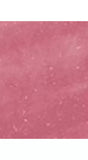 Sisley-Paris Phyto-Lip Twist Lipstick