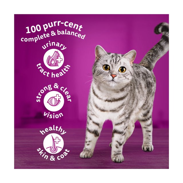 Whiskas 1+ Adult Dry Cat Food with Lamb   800g GOODS M&S   