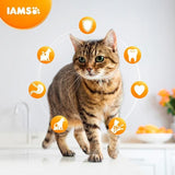 IAMS for Vitality Adult Cat  Food With Lamb   800g