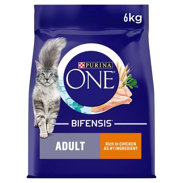 Purina One Chicken Dry Cat Food   6kg