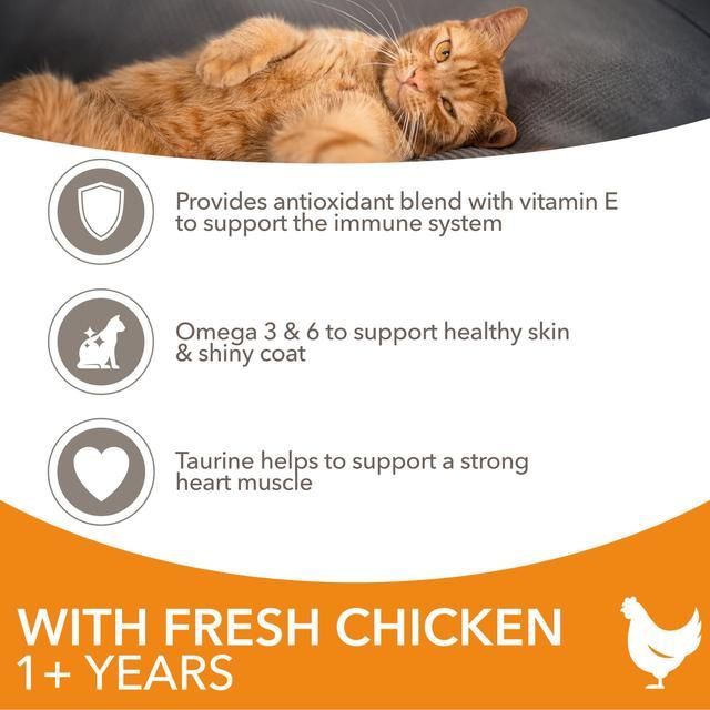 IAMS Adult Dry Cat Food Chicken   3kg