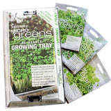 Microgreens Basil Coriander & Rocket Growing Kit GOODS M&S   