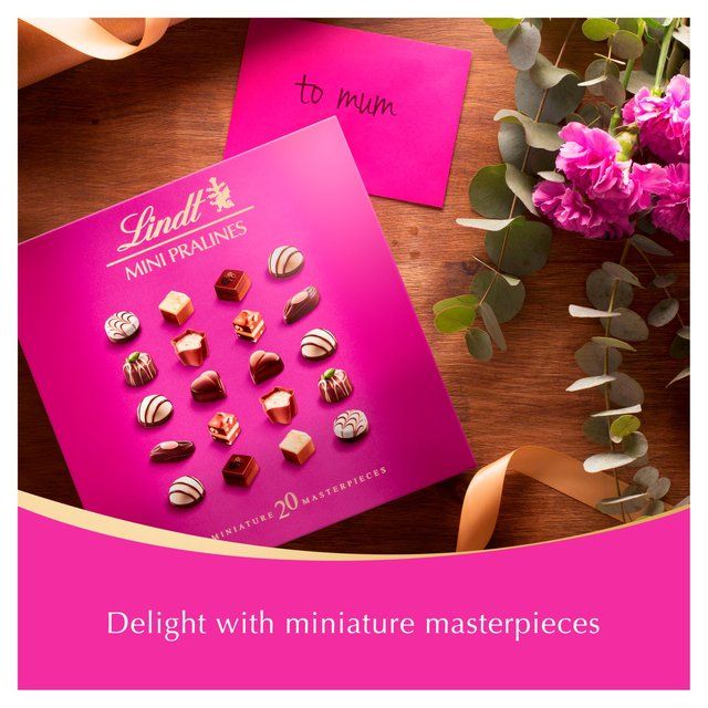 Lindt Mini Pralines Selection   100g