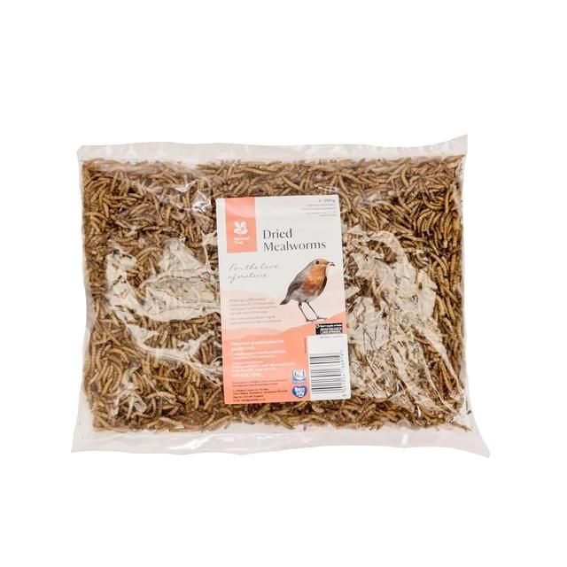 National Trust CJ Wildlife Dried Mealworms   250g GOODS M&S   