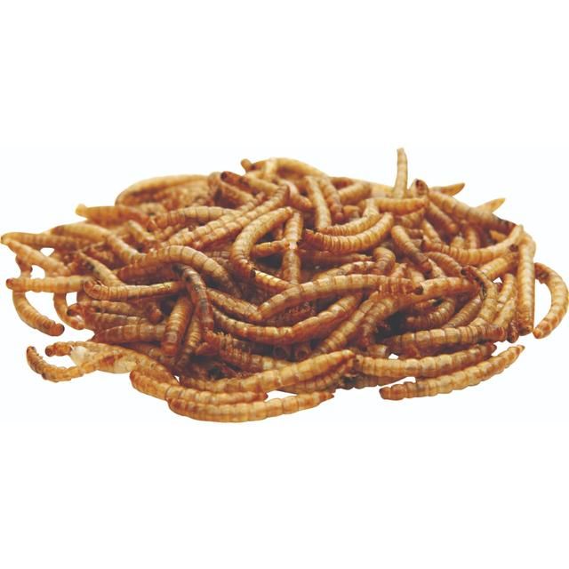 National Trust CJ Wildlife Dried Mealworms   250g GOODS M&S   