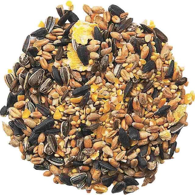 National Trust CJ Wildlife Garden Bird Table Seed   12.75kg