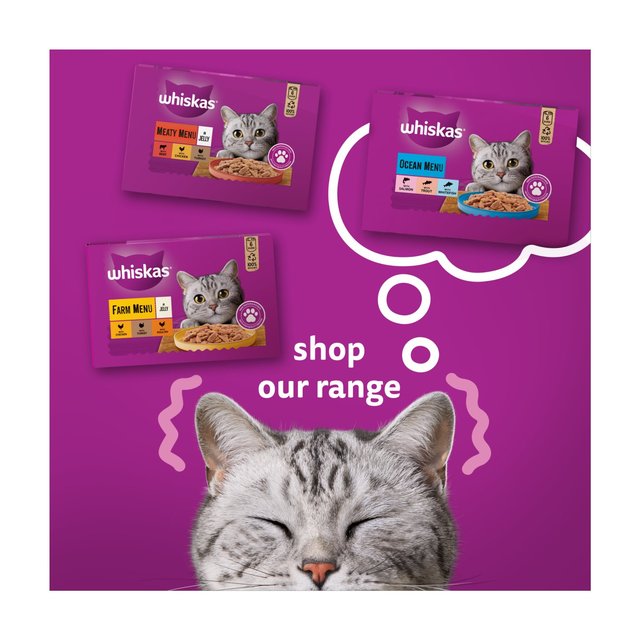 Whiskas 1+ Adult Wet Cat Food Tins Ocean Menu in Jelly   6 x 400g GOODS M&S   