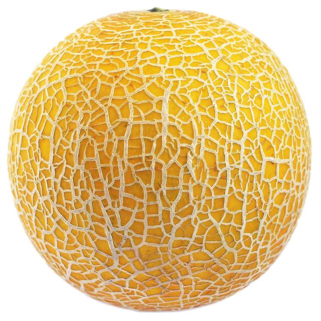 Wholegood Organic Galia Melon