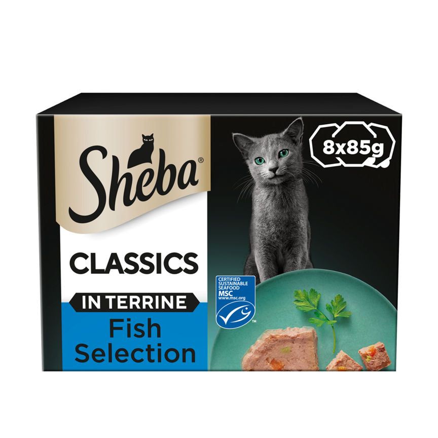 Sheba Classics Adult Cat Food Tray with Salmon in Terrine 8 x 85g