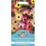 Mr Fothergills Mesembryanthemum Livingstone Daisy Seeds GOODS M&S   