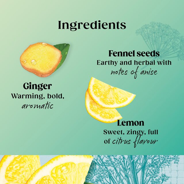 Twinings Superblends Detox with Lemon Ginger & Fennel   20 per pack - McGrocer