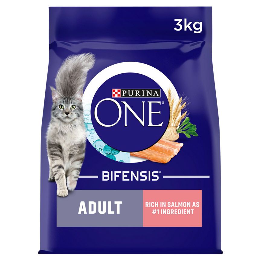 Purina ONE Adult Dry Cat Food Salmon and Wholegrain