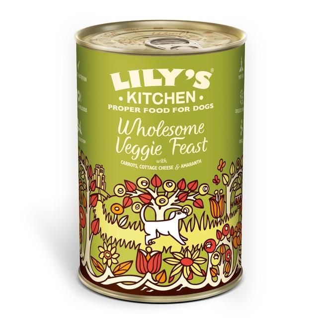 Lily's Kitchen Wholesome Veggie Feast for Dogs   375g GOODS M&S   