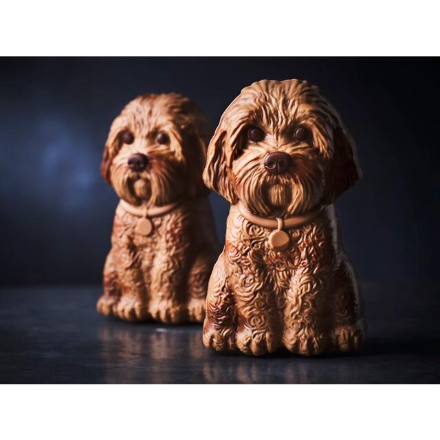 M&S Ralph the Cavapoo Easter Egg   155g