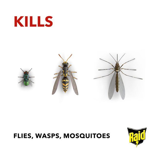 Raid Fly Wasp & Mosquito Killer with Eucalyptus Aroma Oil   300ml