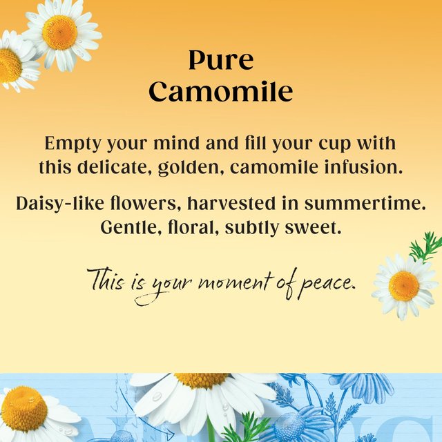 Twinings Camomile Tea   20 per pack GOODS M&S   