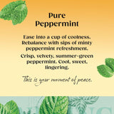 Twinings Peppermint Tea   20 per pack GOODS M&S   