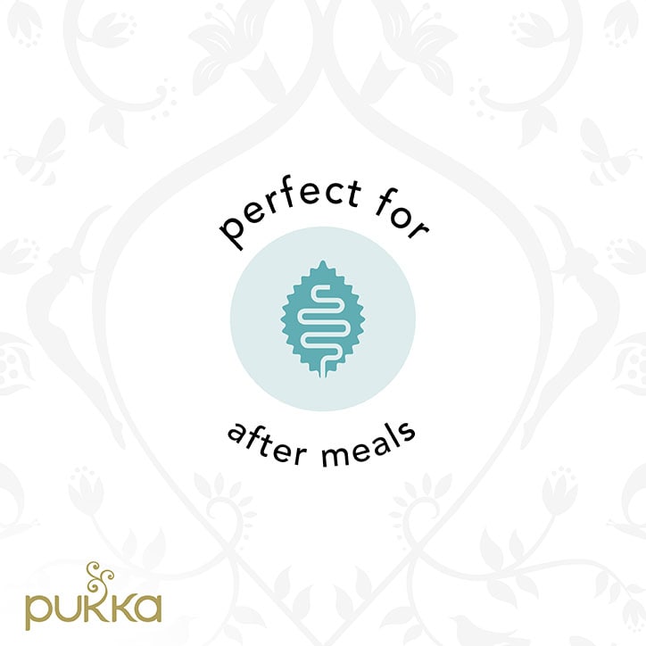Pukka Organic Three Ginger Tea 20 Tea Bags - McGrocer