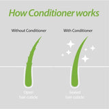 Plantur39 Conditioner Fine&Brittle Hair 150ml GOODS Superdrug   