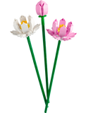 Lotus Flowers